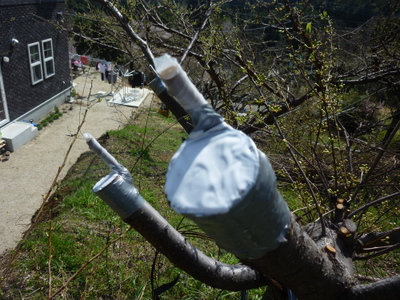 20130321-001.JPG