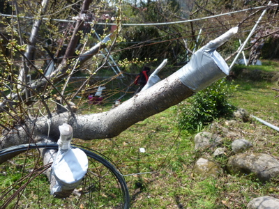 20130321-002.JPG