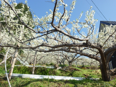 20130322-001.JPG