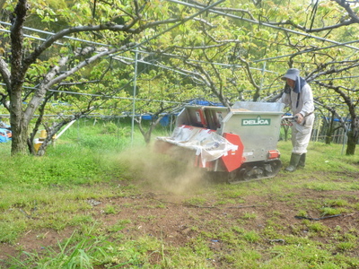 20130416-003.JPG