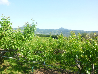20130428-004.JPG