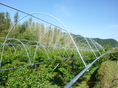 20130505-004.JPG