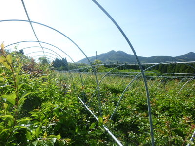 20130505-005.JPG