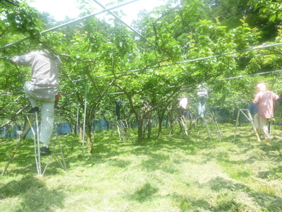 20130719-007.JPG