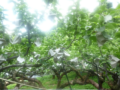 20130719-010.JPG