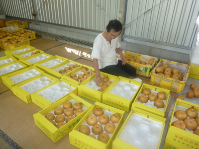 20130929-031.JPG
