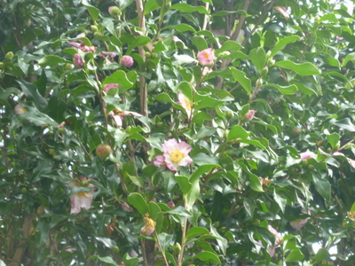 20131010-001.JPG