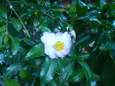 20131010-004.JPG