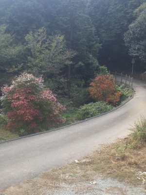 20131116-011-001.JPG