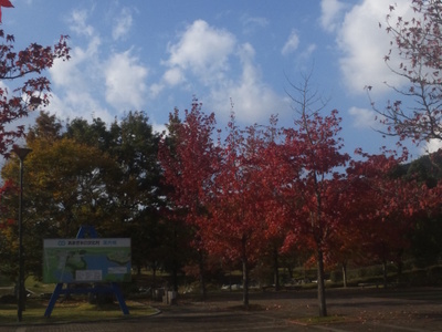 20131116-015.JPG