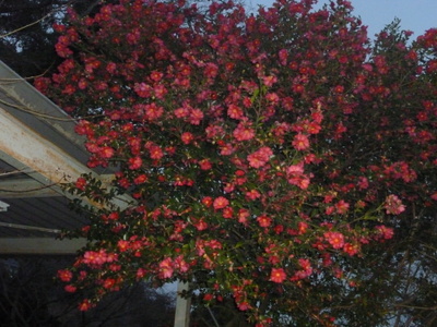 20140207-009.JPG