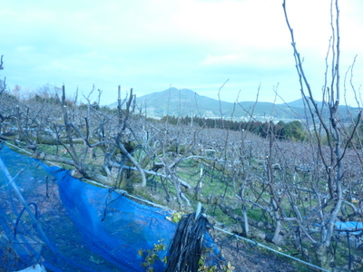 20140211-001.JPG