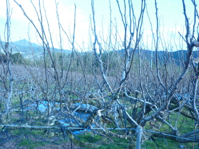 20140211-002.JPG
