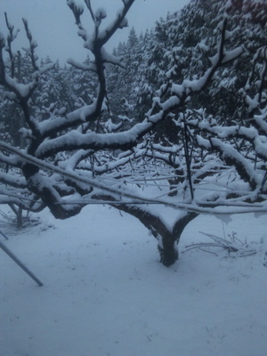 20140214-013.JPG