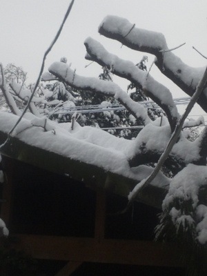 20140214-015.JPG